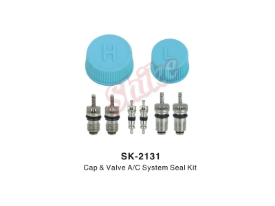 SK-2131
