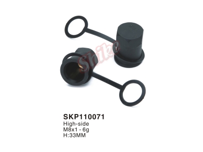 SKP110071