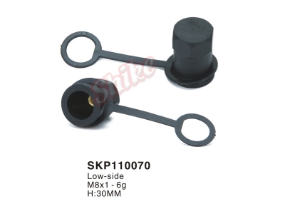SKP110070