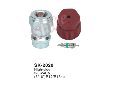 SK-2020