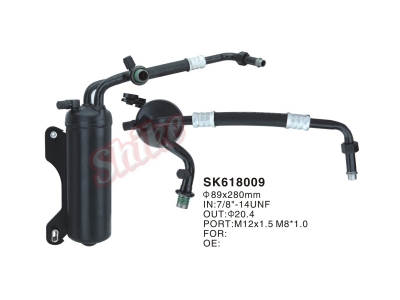 SK618009