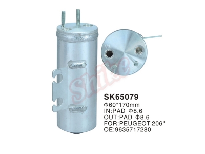 SK-65079