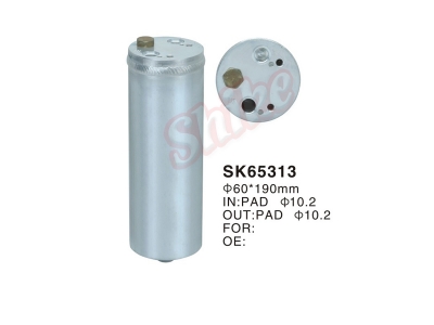 SK-65313