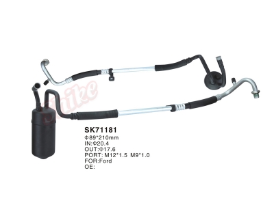 SK-71181