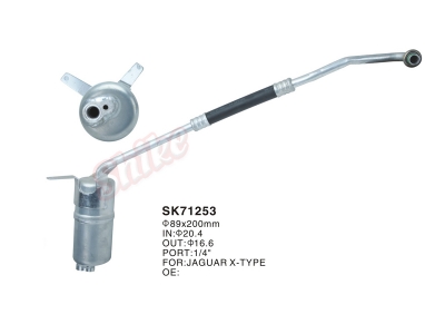 SK-71253