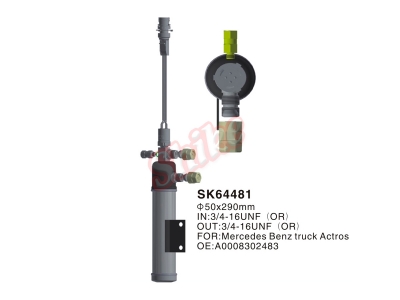 SK64481