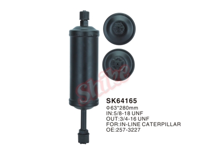 SK64165